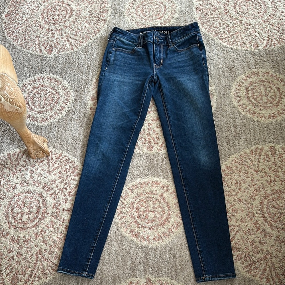 American Eagle Outfitters Blue Skinny Jeans with Classic Fit
